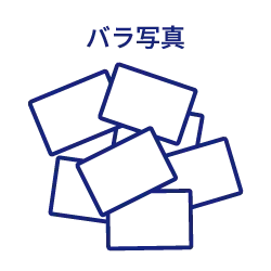 バラ写真のアイコン画像